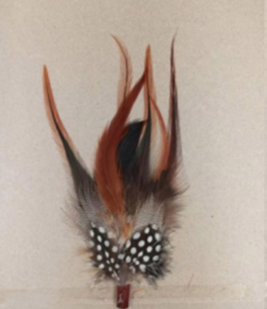 Cowboy Hat Feathers